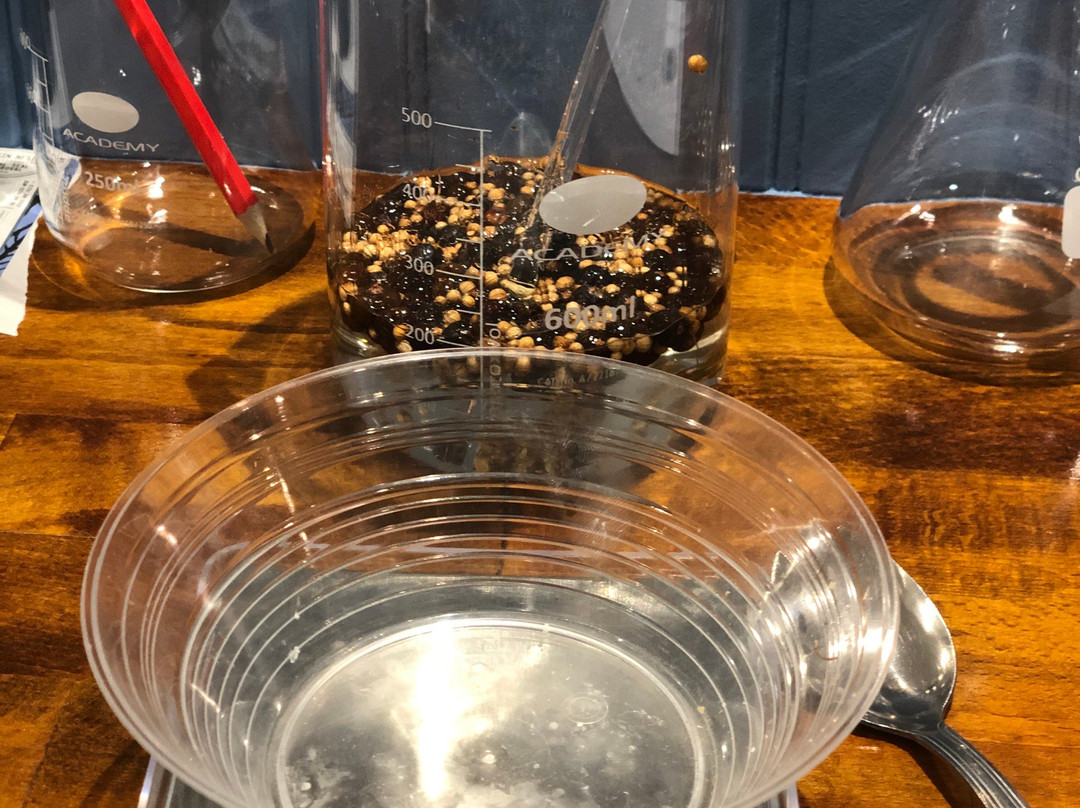 The Gin Nest景点图片