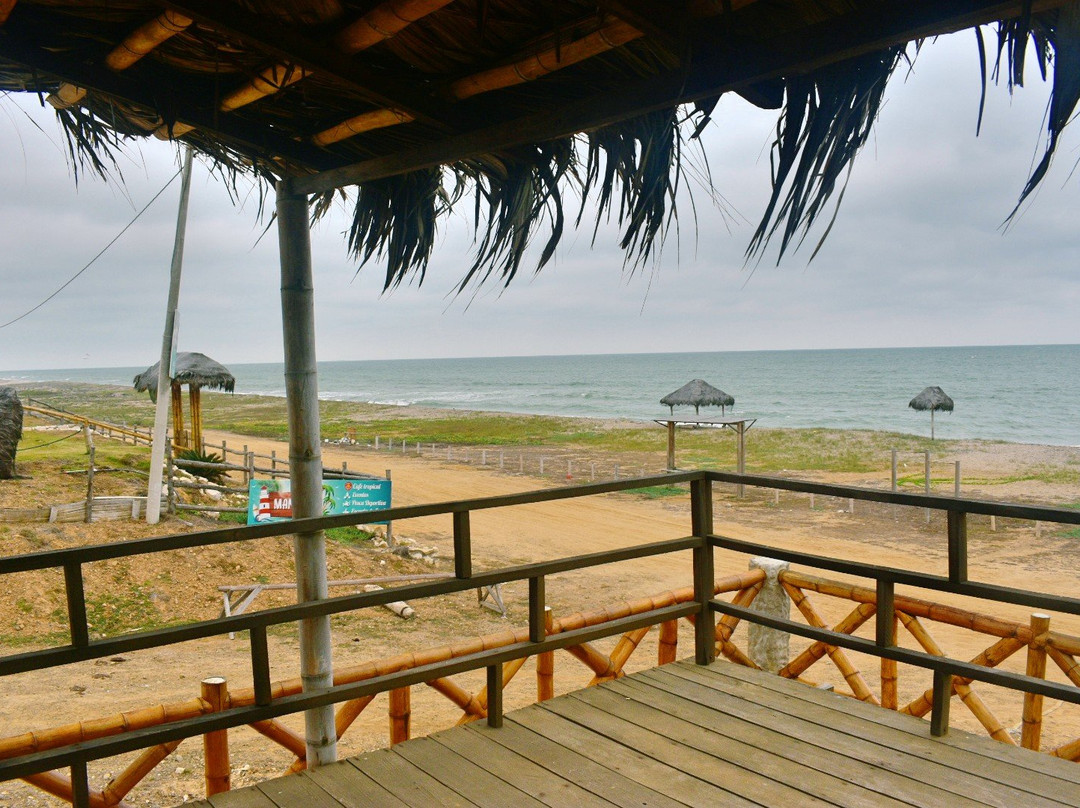 Playa de Puerto Engabao-Engabao必去景点