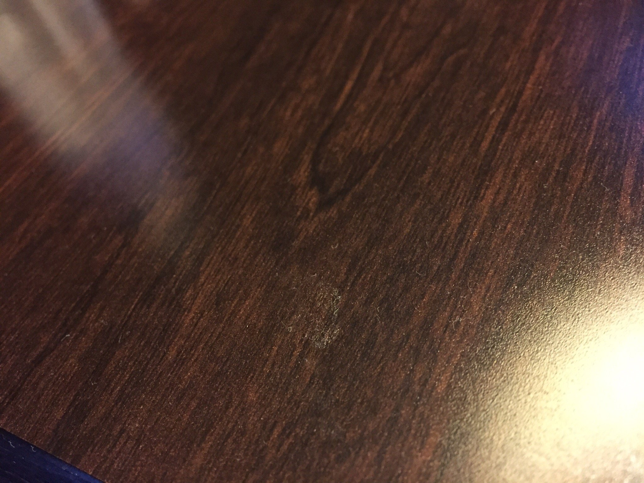 The Prussia Hotel-官方