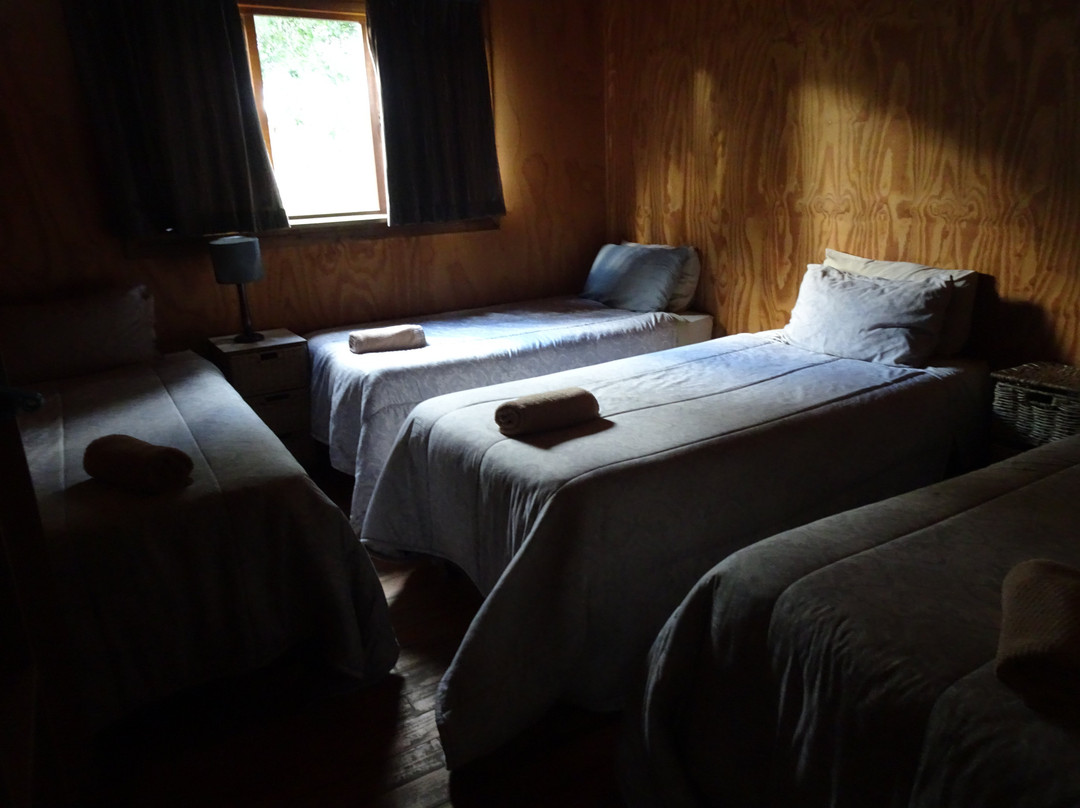 Hippo Water Front主图