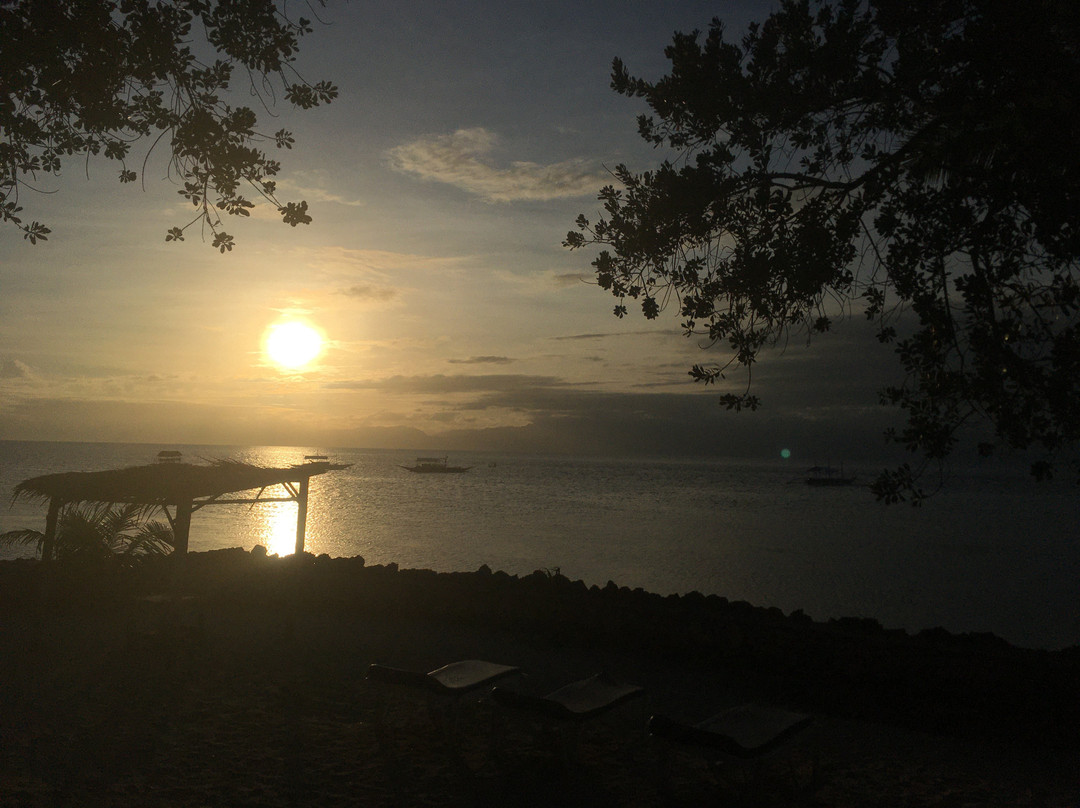 蓝色兰花度假村主图