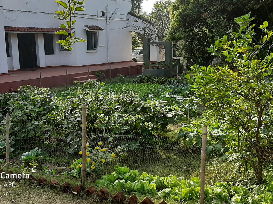 Mitali Homestays主图