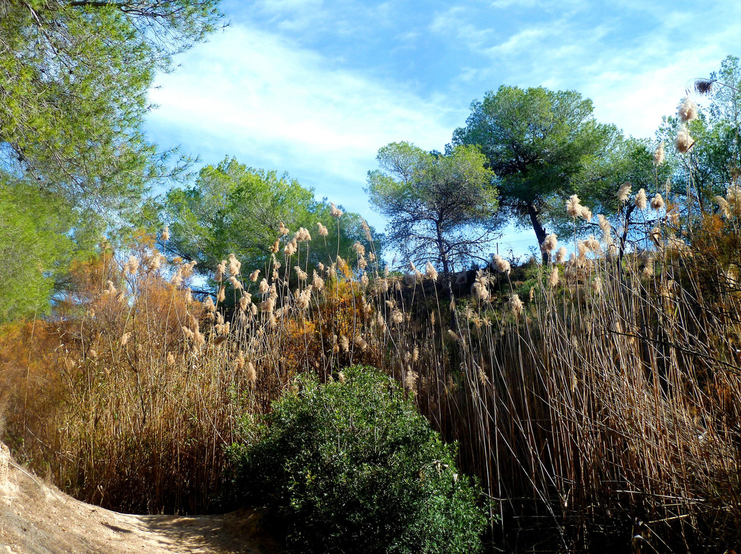 Ruta Senderista Rio Seco景点图片