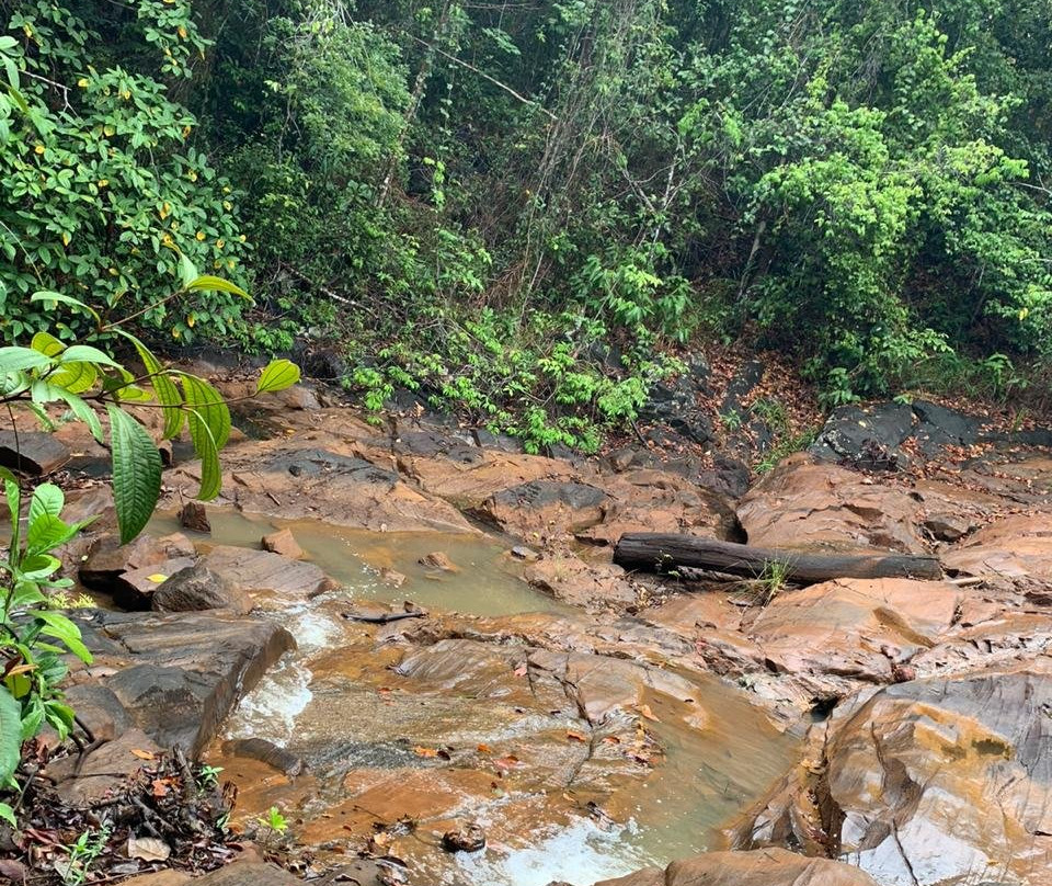 Bicho-preguiça Ecoturismo-Itacare必去景点