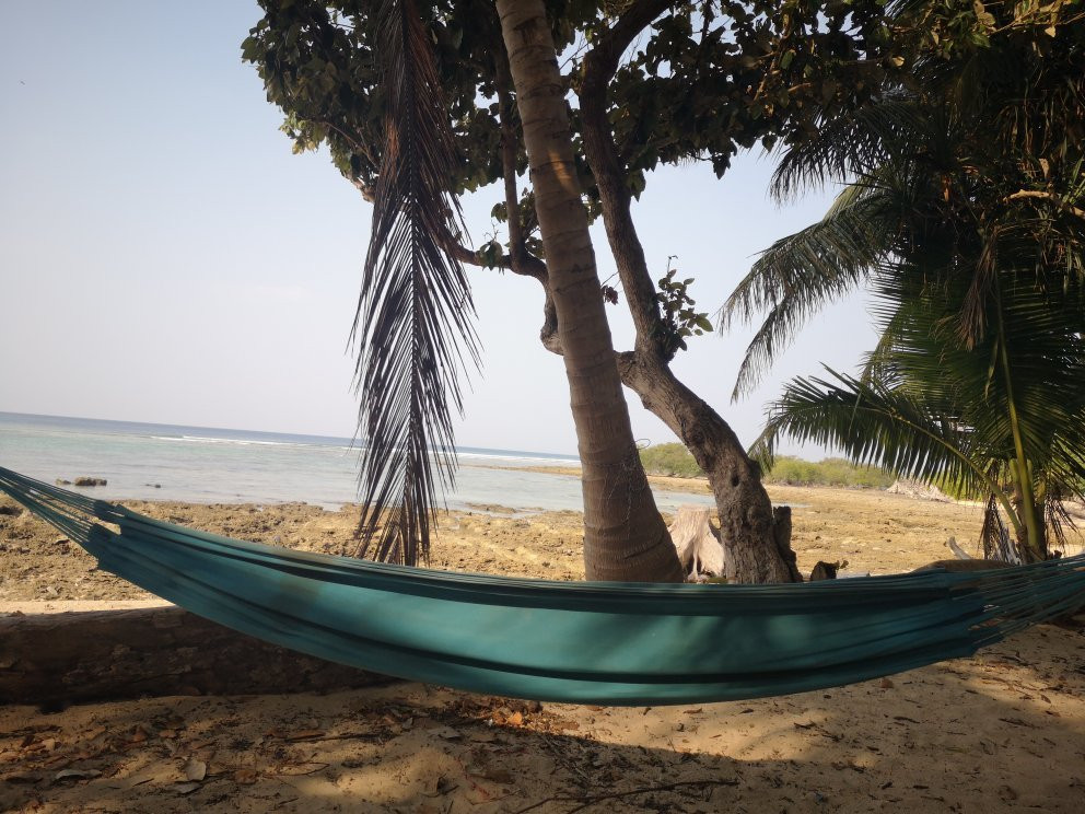 Kalapani Beach Resort主图