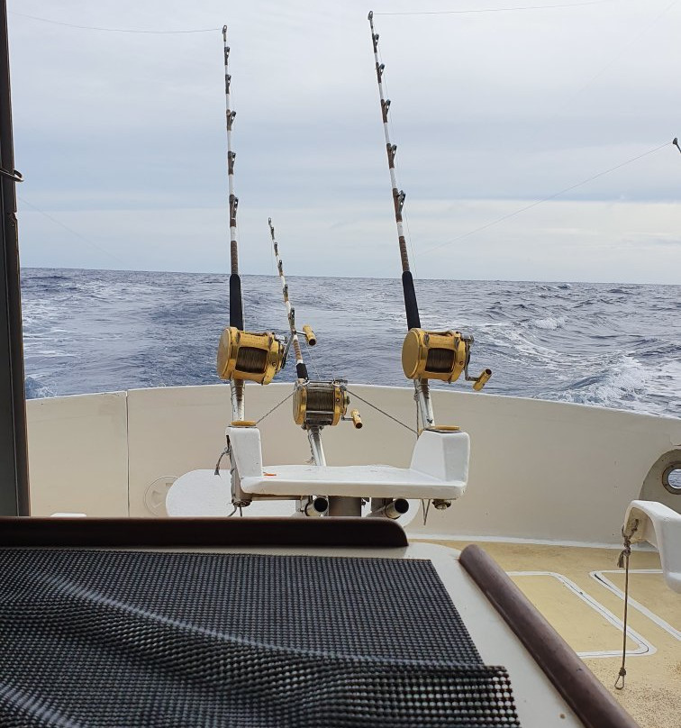 Horizon Fishing-大湾必去景点