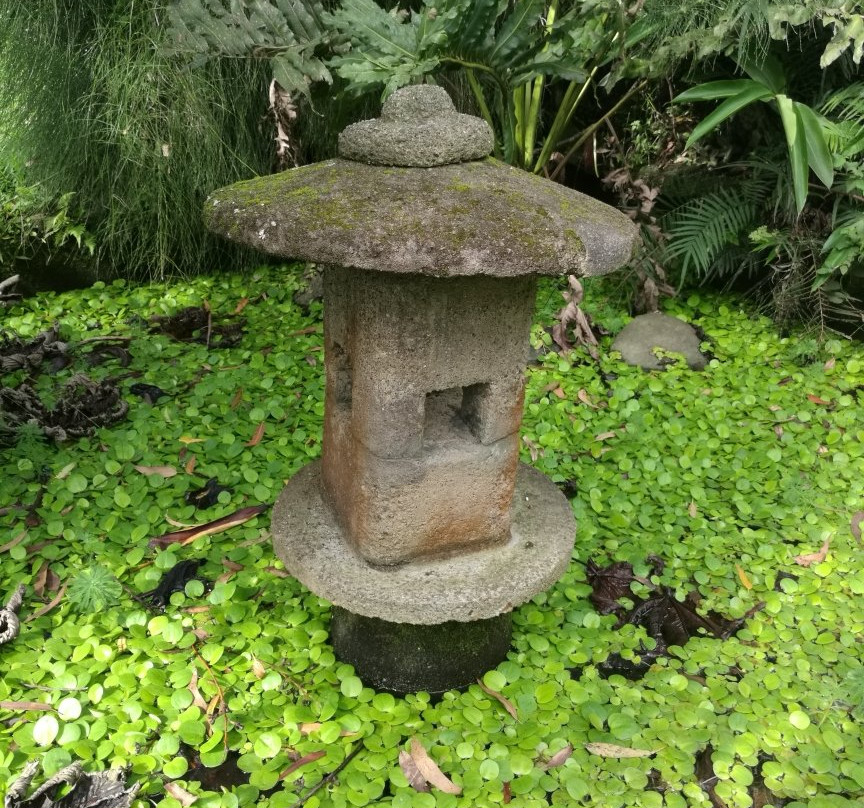 Jardin Botanico Lankester景点图片
