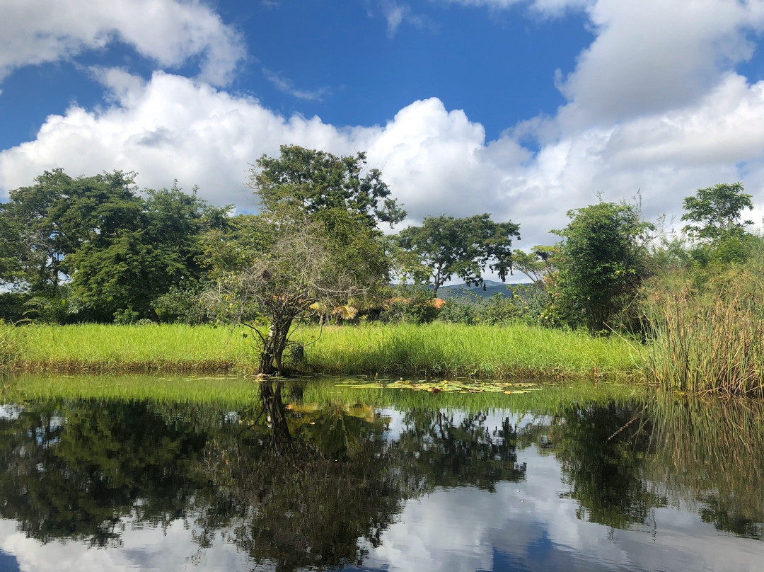 Fazenda Marimbus景点图片