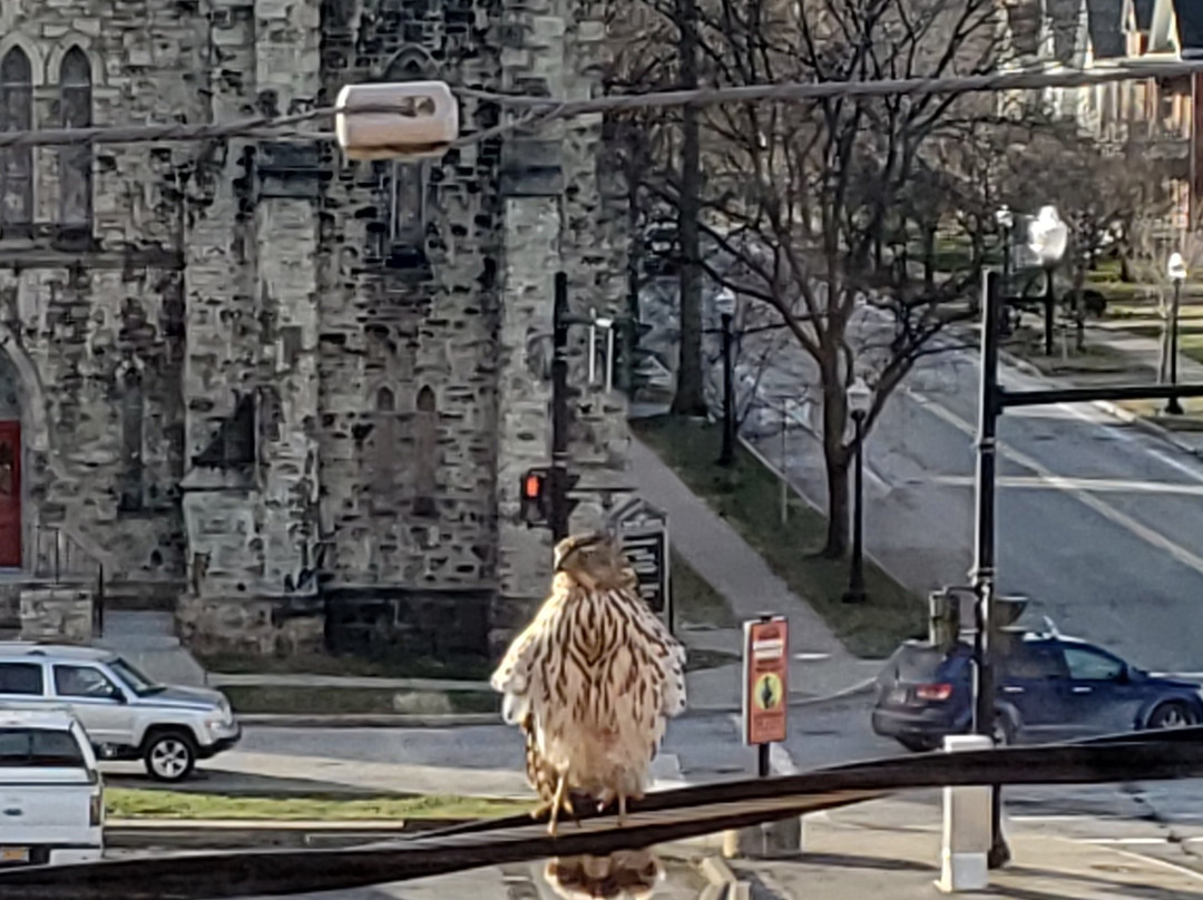 Hart House Hotel主图