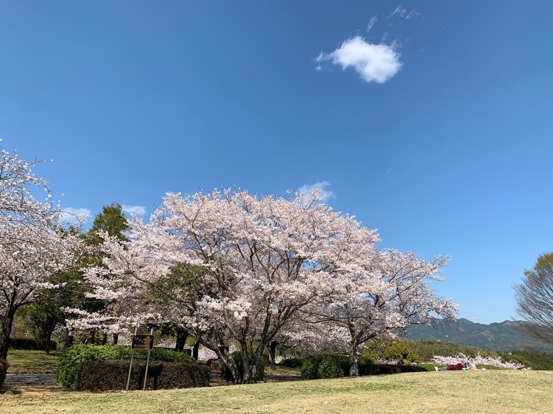 Ipponmatsu Park景点图片