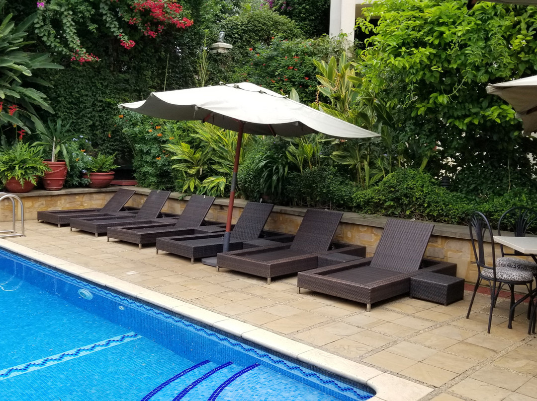 非洲郁金香宾馆主图