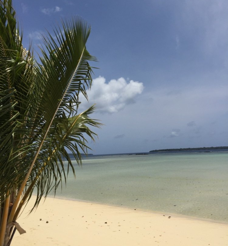Mahi Mahi Beach Villas主图