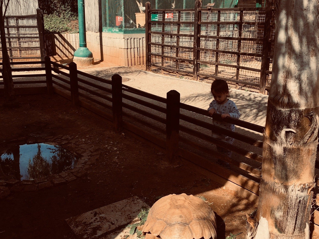 Kfar Saba Park-Kefar Sava必去景点