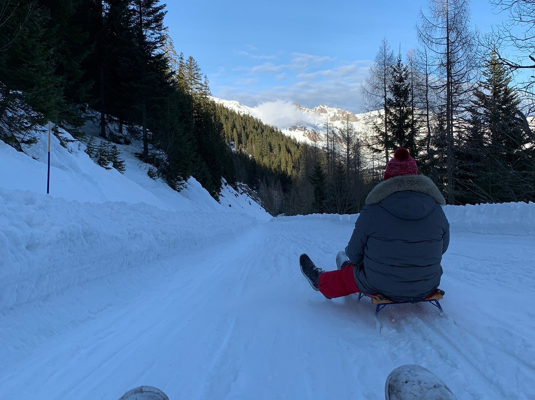 Piste de Luge des Diablerets-Les Diablerets必去景点