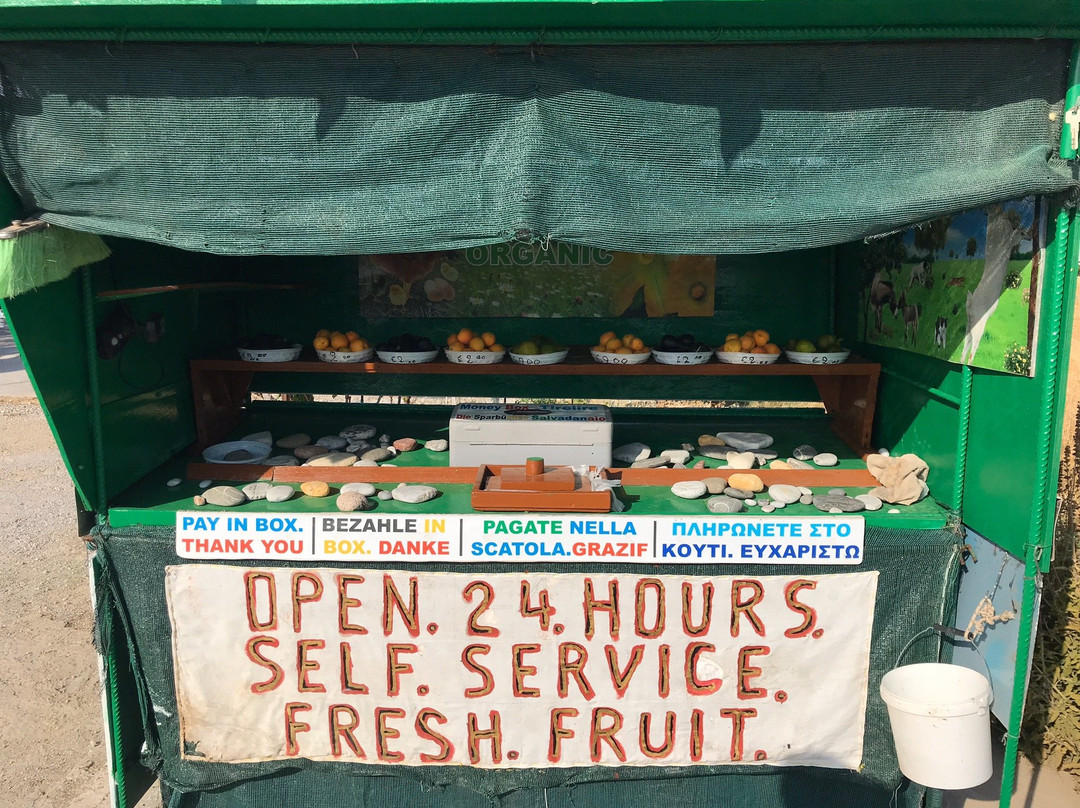 Sunset Studios and Apartments主图