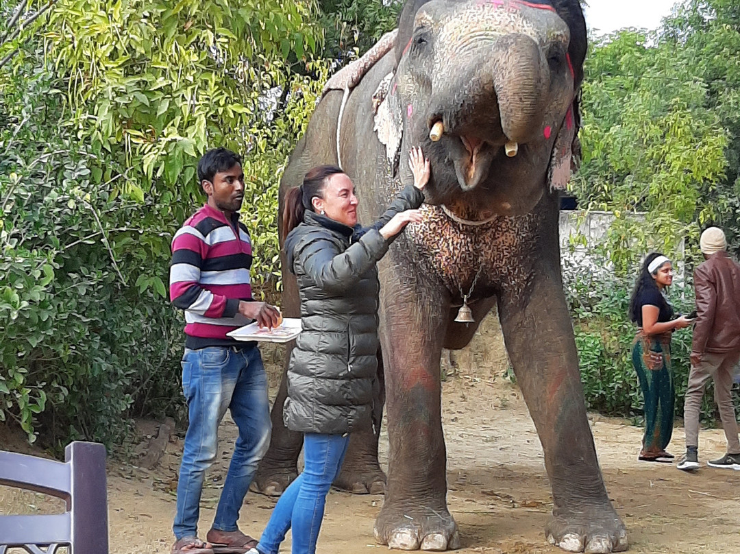 Sonu Tour And Travels-斋蒲尔必去景点