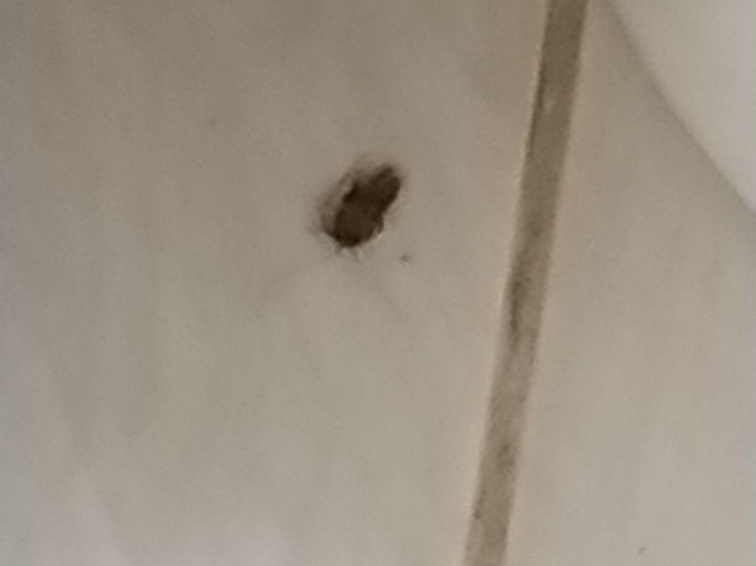 Barrudada Tropical Hotel主图