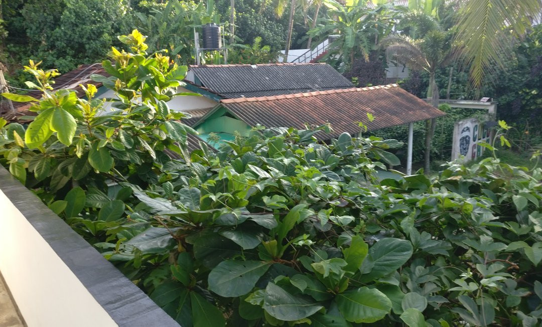 塞雷妮蒂度假酒店主图