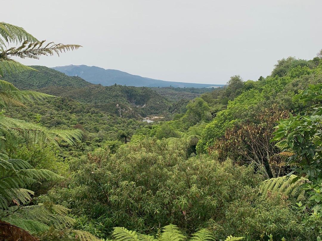 Waimangu Volcanic Valley景点图片