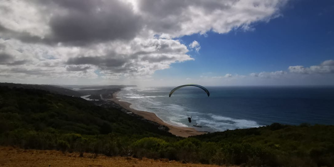 Dolphin Paragliding景点图片