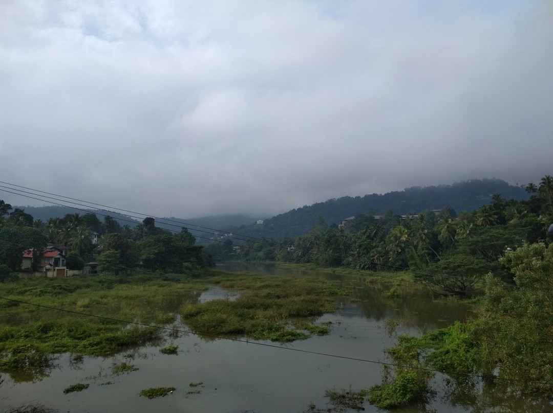 Royal Classic Resort主图