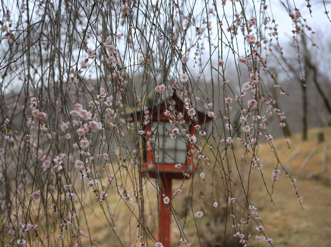 Fudo-ji Temple-长瀞町必去景点