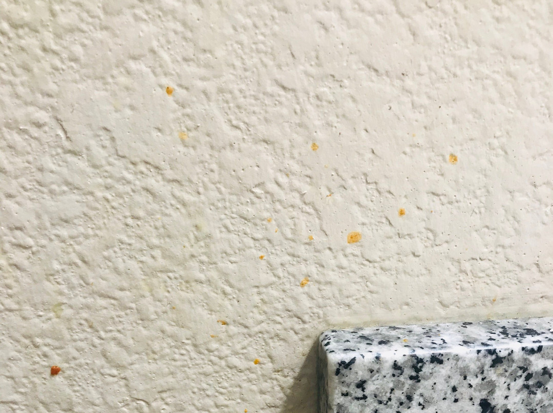 Quality Inn & Suites主图