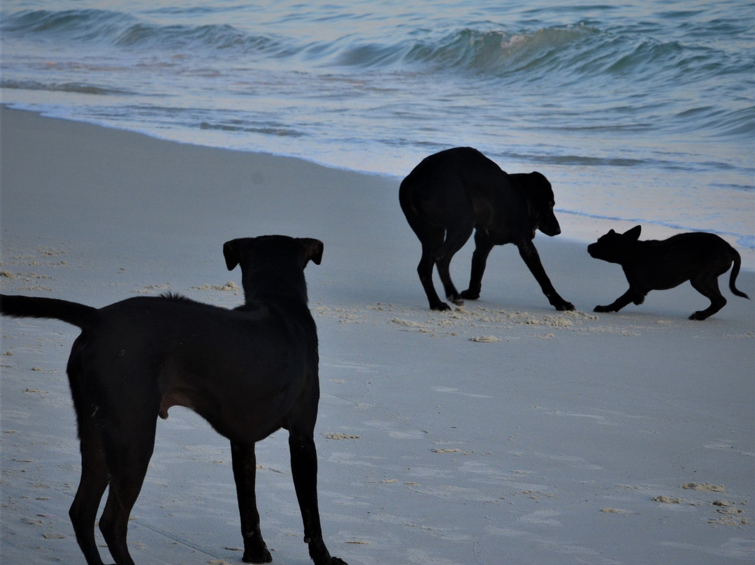 Ao Phai-沙美岛必去景点