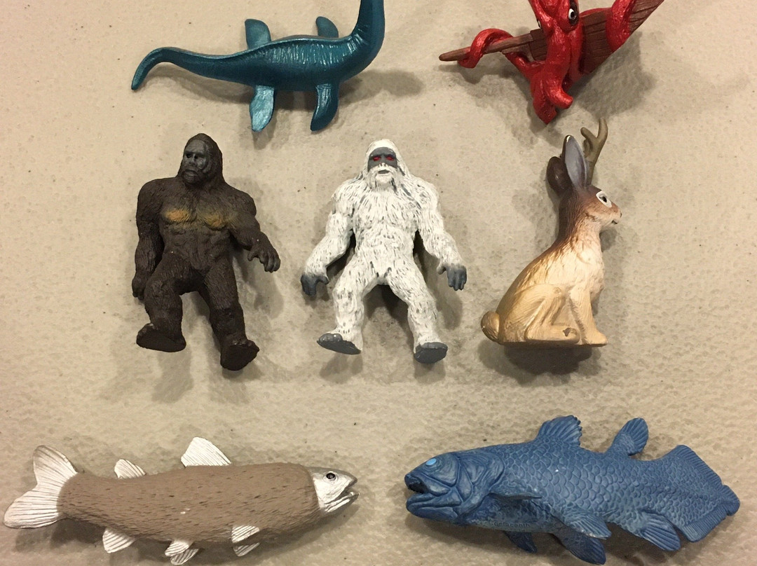 Point Pleasant Trading Company-Point Pleasant必去景点