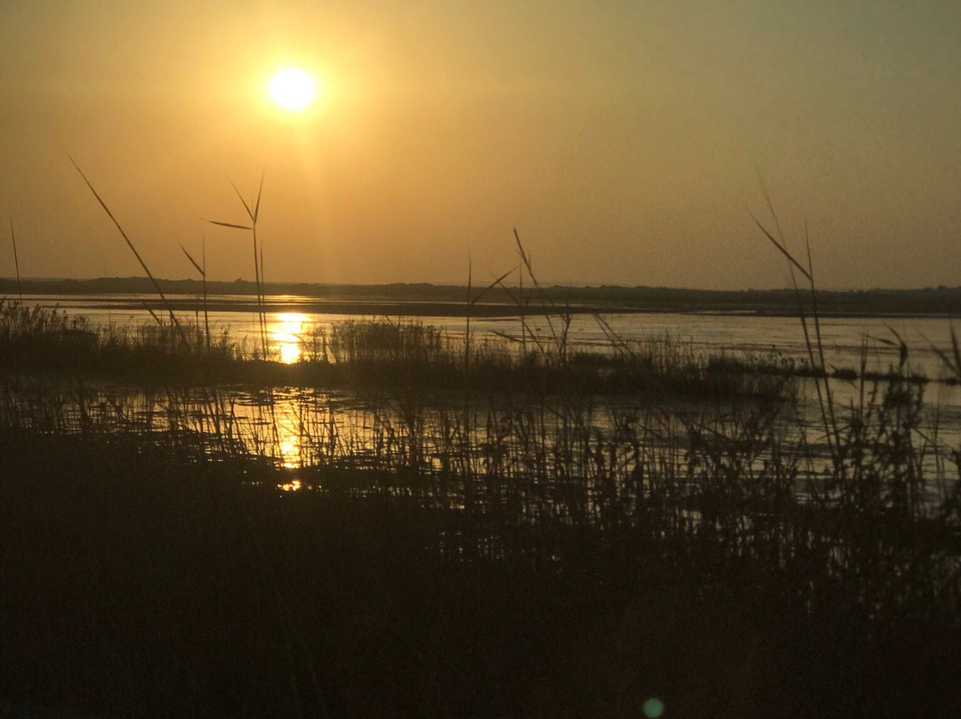 The Yellow Lake-Al Ahsa必去景点