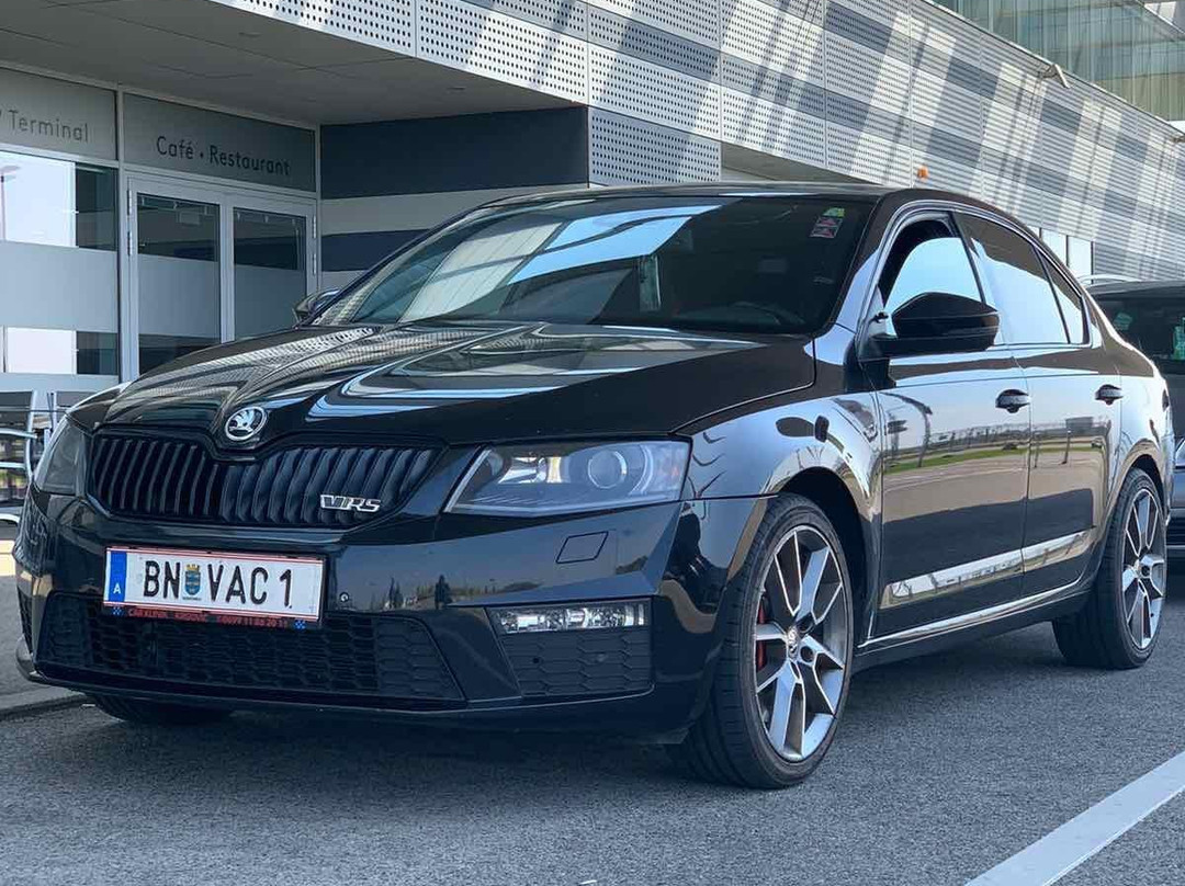 Vienna Airport Cab-维也纳必去景点