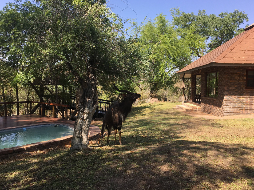 Idube Game Reserve-萨比沙禁猎区必去景点