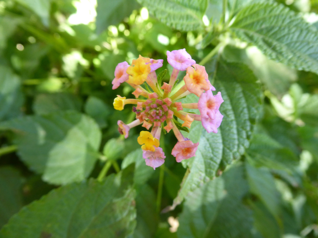 Ain Asserdoun-Beni Mellal必去景点