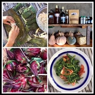 Natures Healing Home-San Fernando La Union必去景点