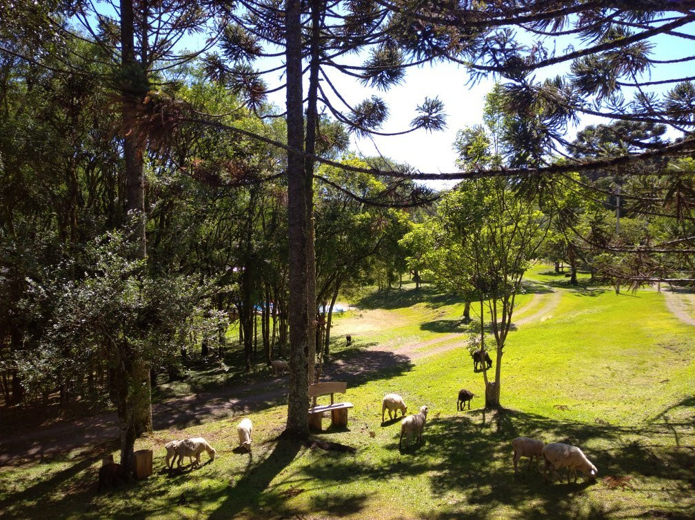 Araucárias Park-Arvorezinha必去景点