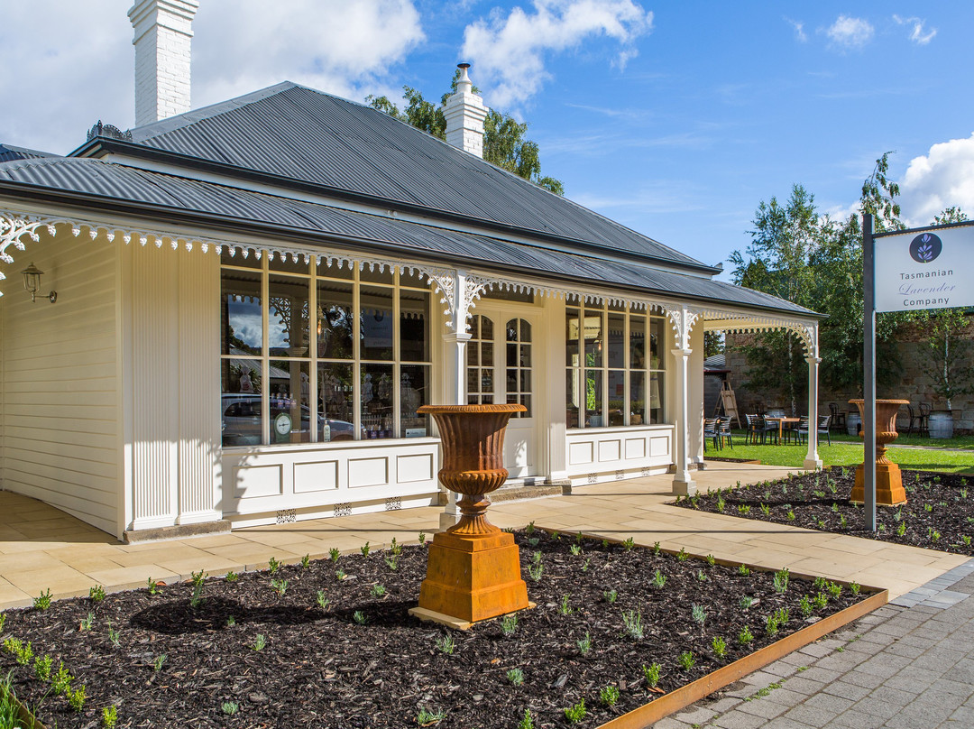 Tasmanian Lavender Company-Richmond必去景点