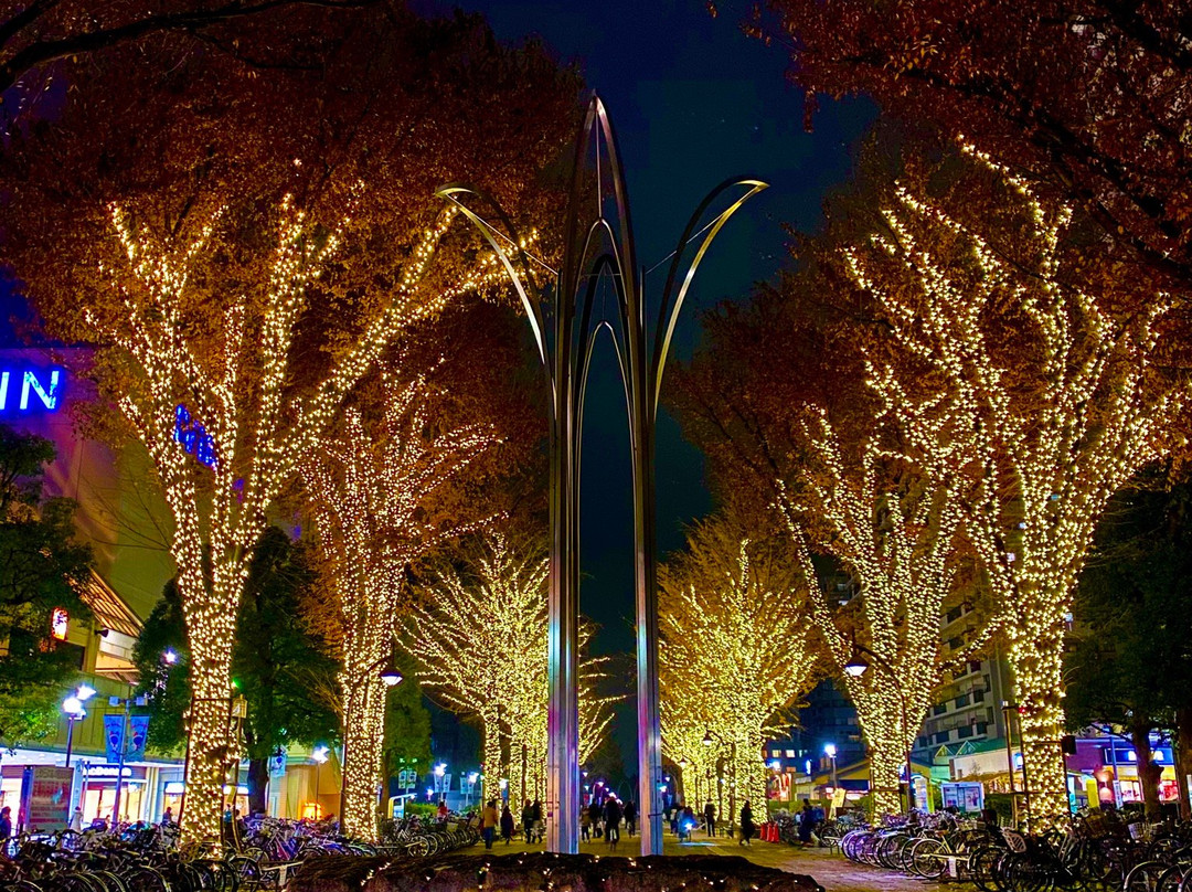 Hikarigaoka Park景点图片