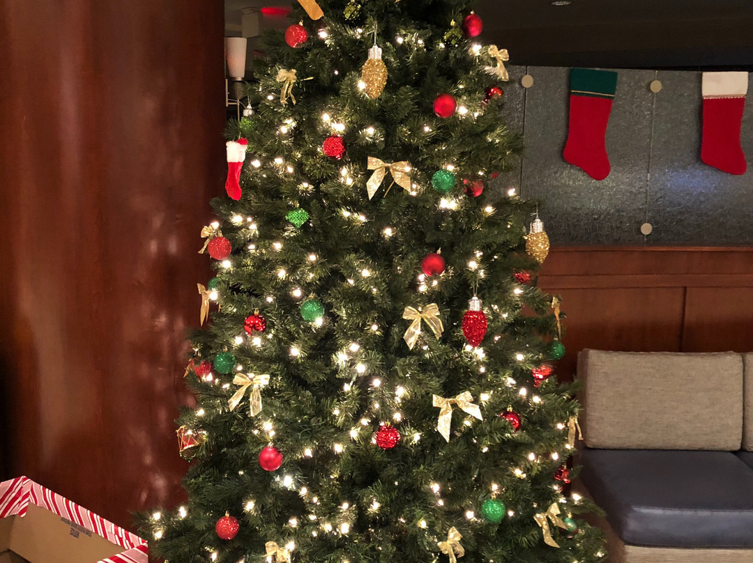 Courtyard Shelton主图