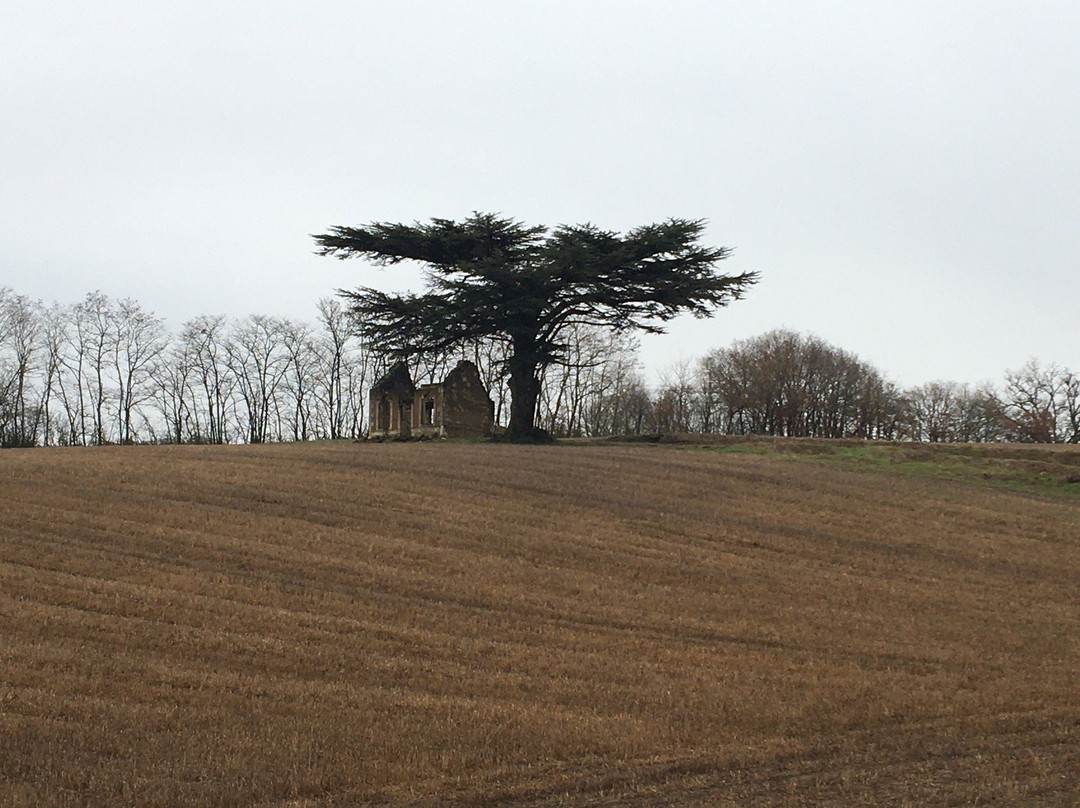 Chambres d'hotes Le Domaine de Bella主图