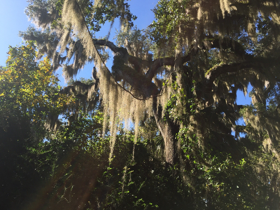 River Breeze Park-Oak Hill必去景点