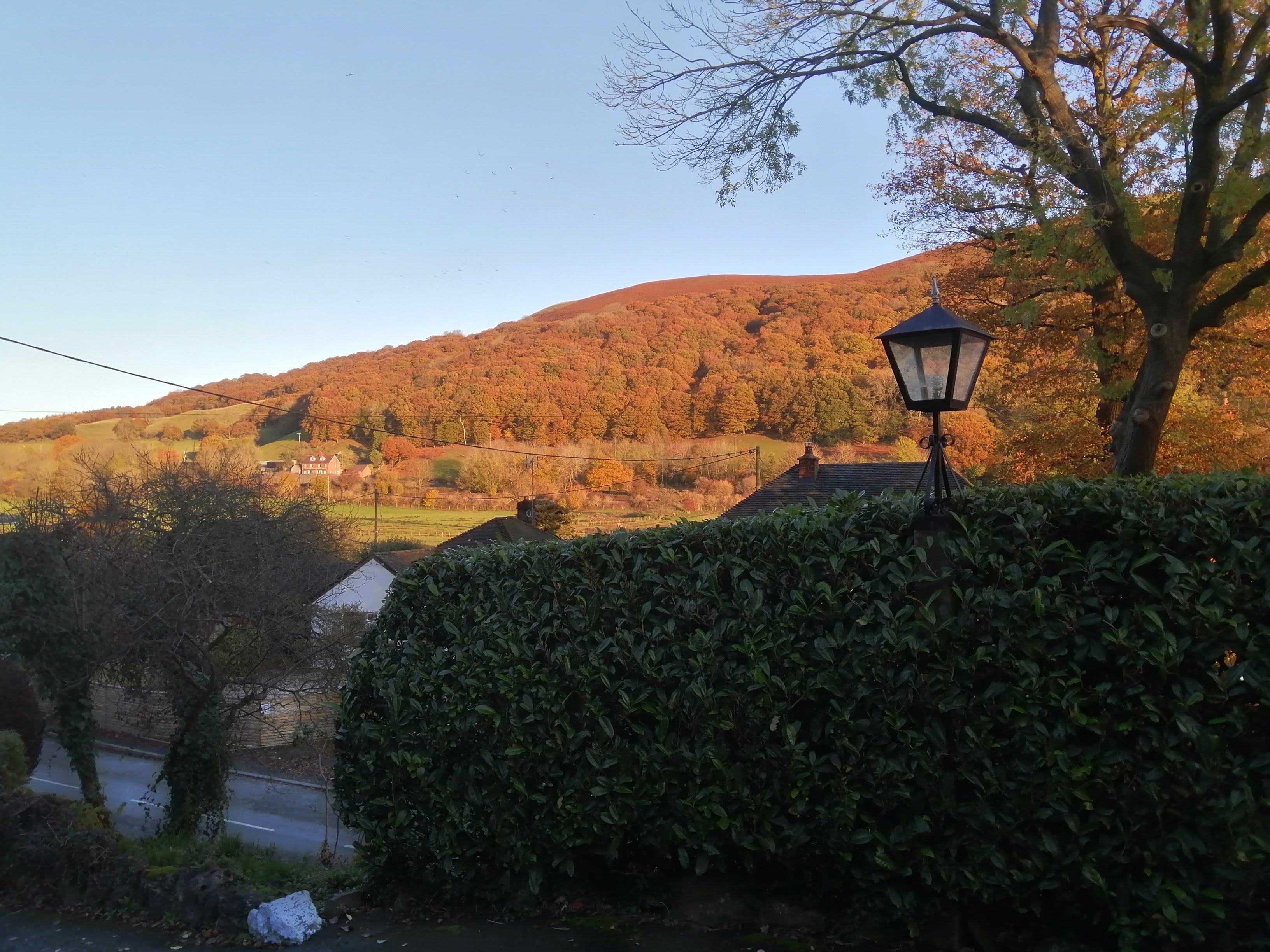 Mynd House B&B-餐饮