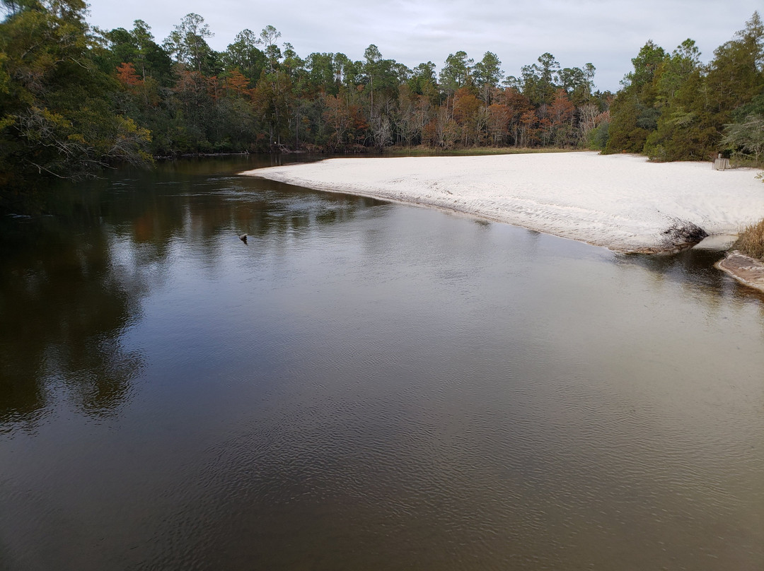 Blackwater River State Park景点图片