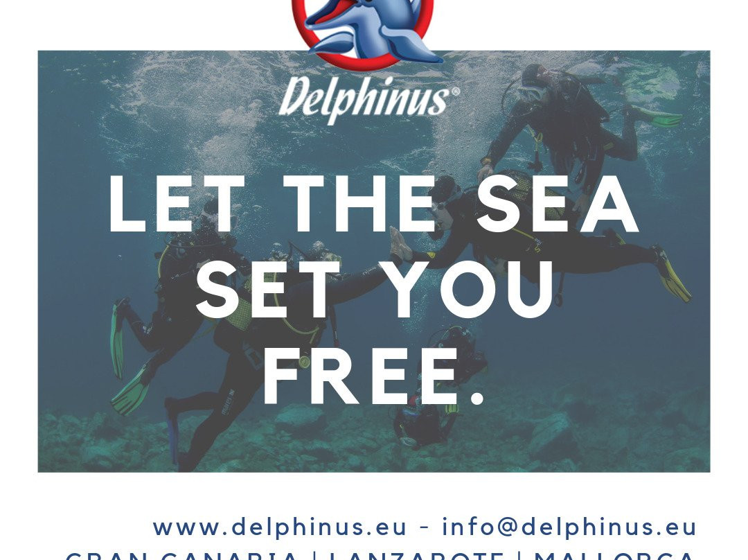 Delphinus Diving School-莫干港必去景点