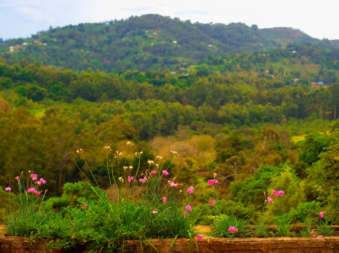 Irente Biodiversity Reserve景点图片