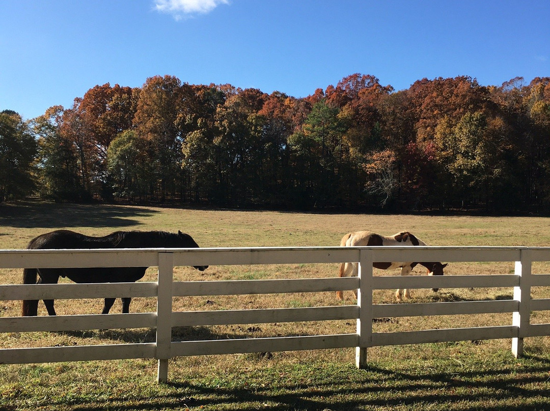 Fair Havens Plantation主图