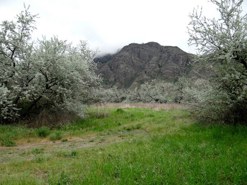 Monte Creek Provincial Park-坎卢普斯必去景点
