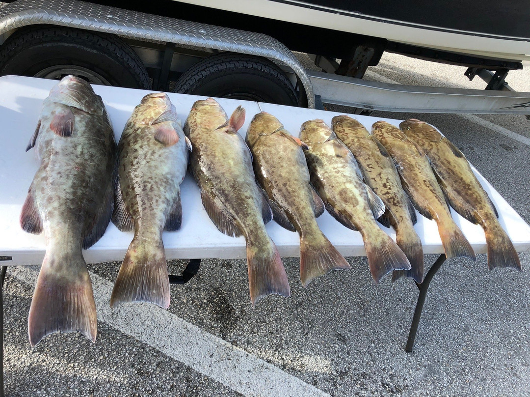 Salty D's Charters-Weeki Wachee必去景点