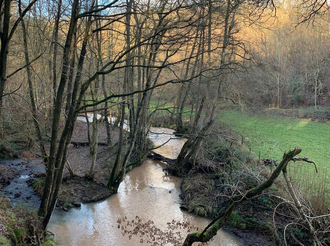 Knowles Mill-Bewdley必去景点