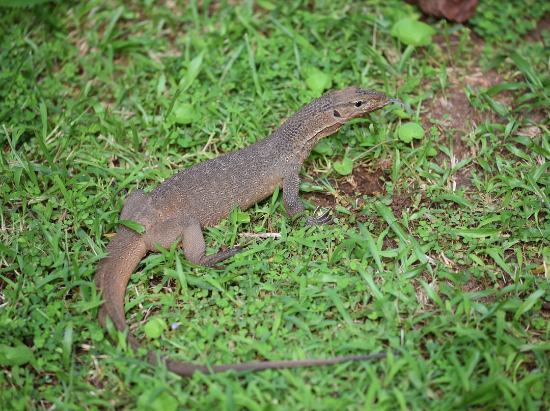 哈伯勒内另一角落酒店主图