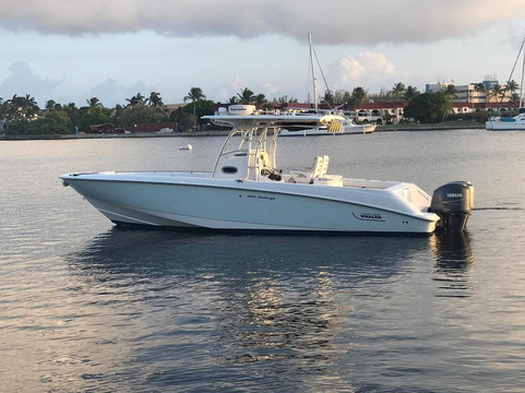 Reel Life Adventures-大开曼岛必去景点